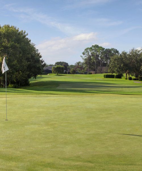 Hole17_20250902084435_0179_.jpg